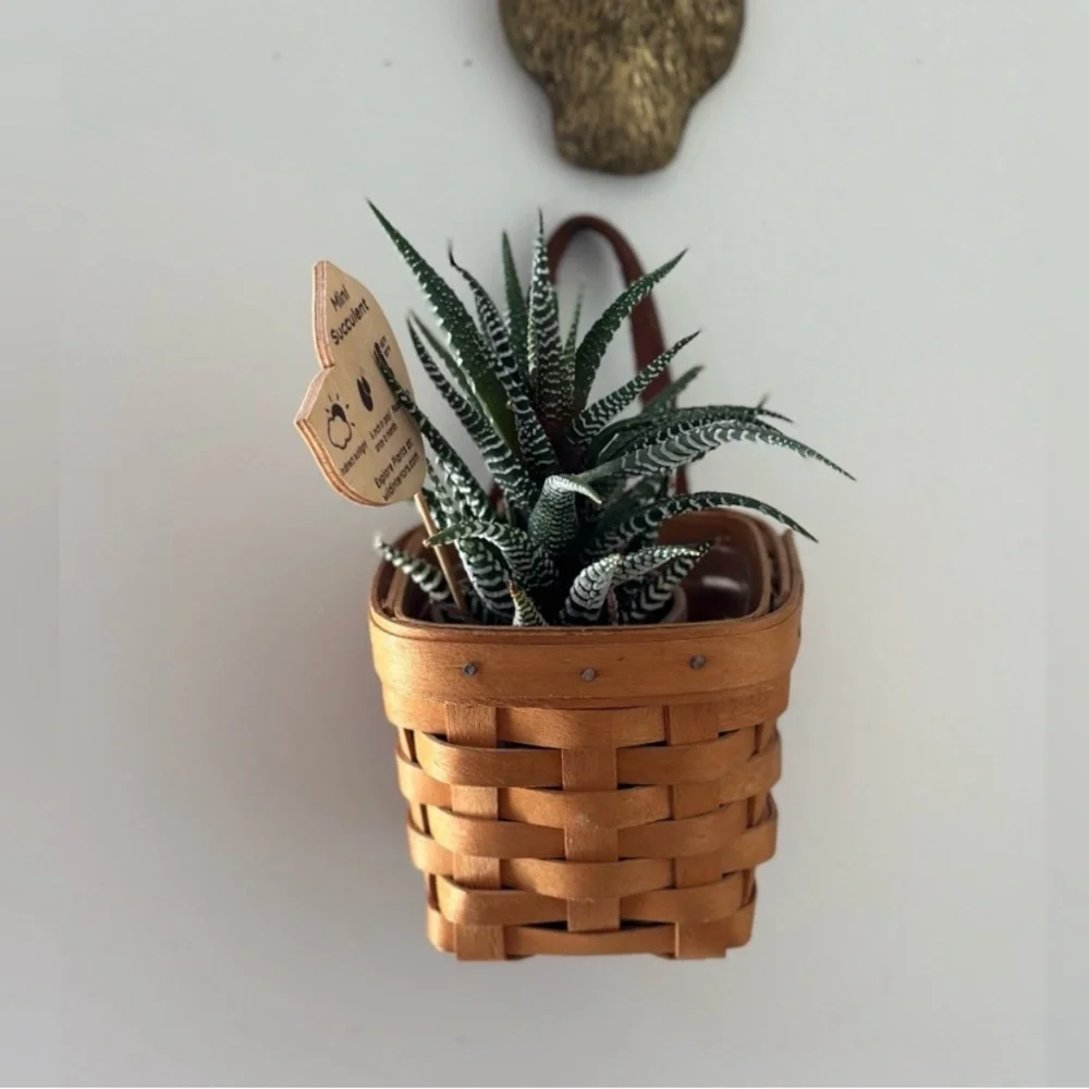 Longaberger Chives Basket with Protector